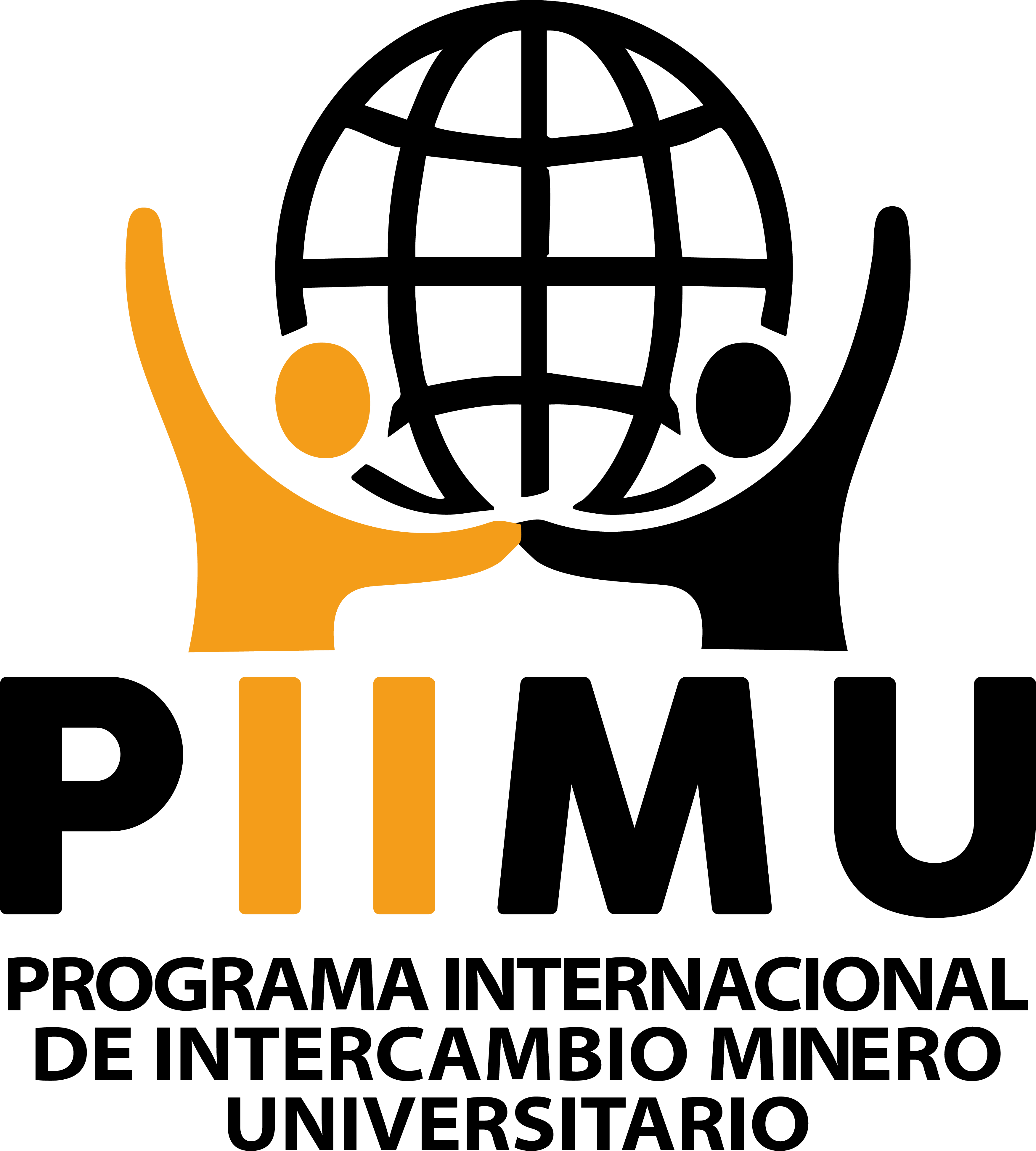 Logo PIIMU