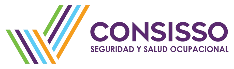 Seguridad y Salud Ocupacional